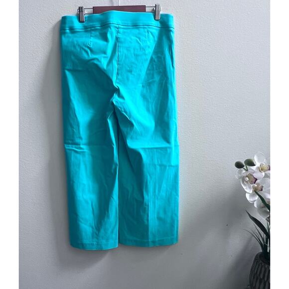 Counterparts Pull On Pants NWOT Small Green Wide Leg Stretch - Picture 2 of 8